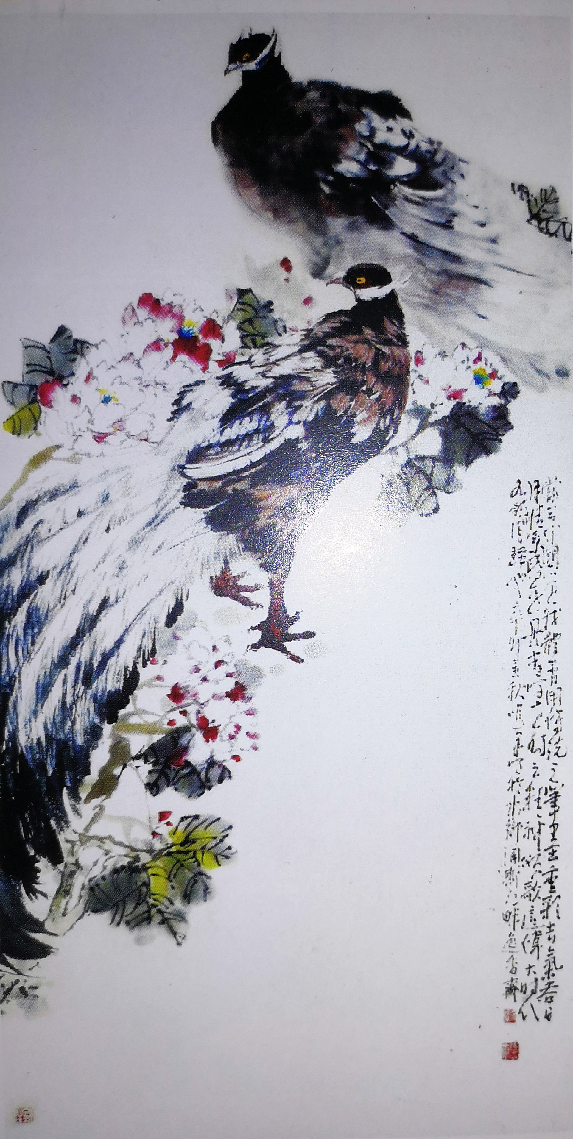 滭Ʒ