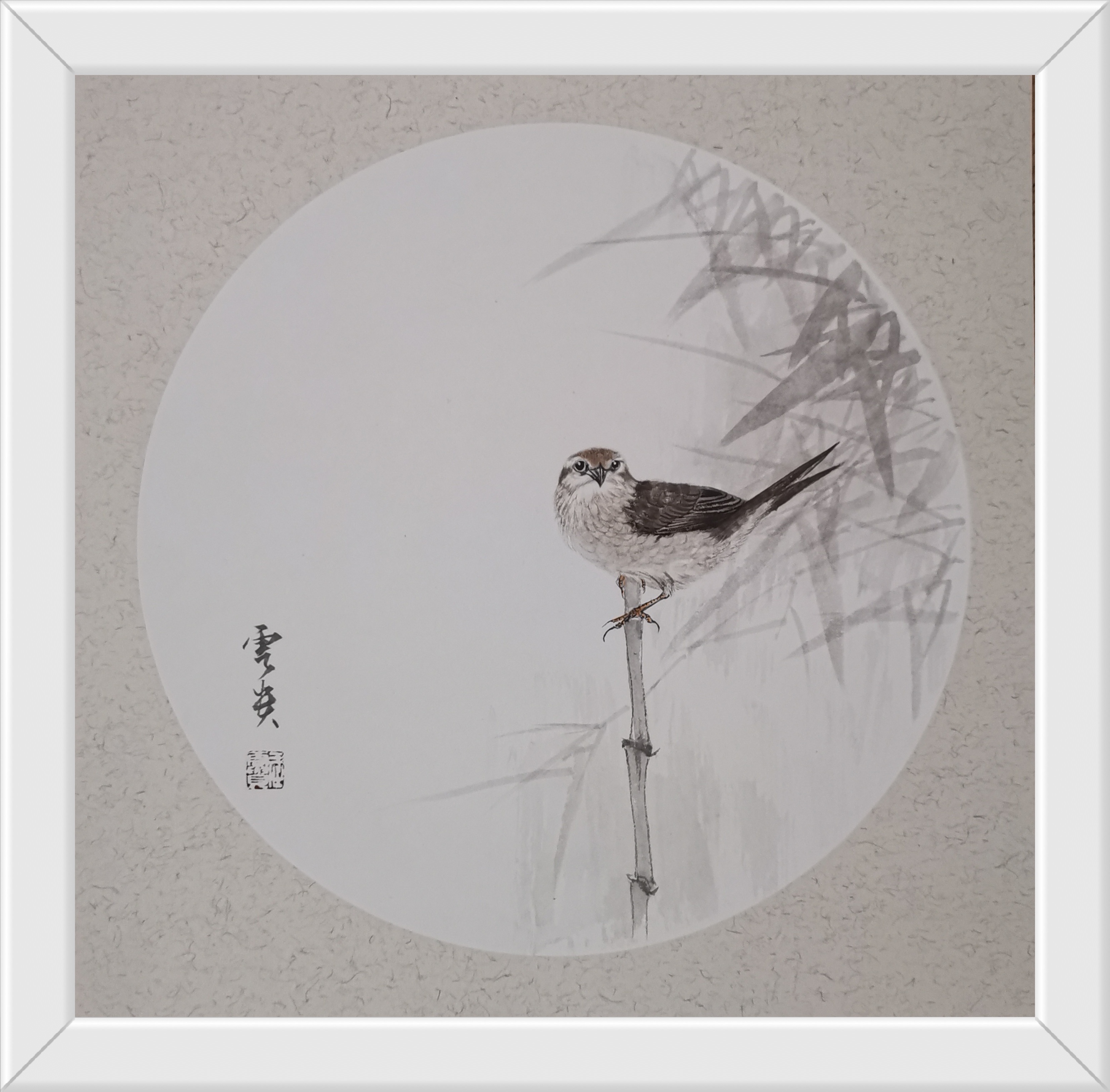 滭Ʒ